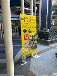 レプタイルズフィーバー Winter 2025に投稿された画像（2025/2/24）