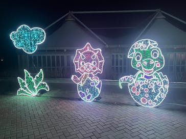 神戸イルミナージュに投稿された画像（2025/2/24）