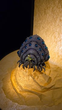 金曜ロードショーとジブリ展　三重展に投稿された画像（2025/2/24）