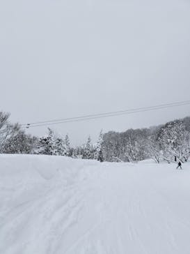 六日町八海山スキー場に投稿された画像（2025/2/24）