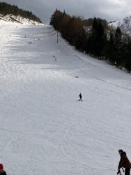 胎内スキー場に投稿された画像（2025/2/24）