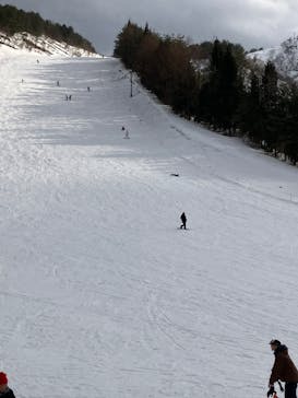 胎内スキー場に投稿された画像（2025/2/24）