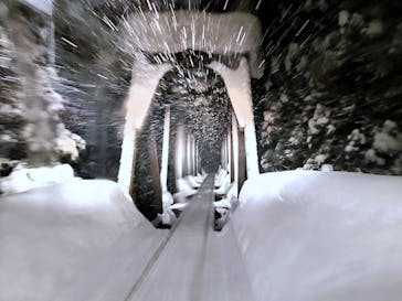 秋田内陸線に投稿された画像（2025/2/24）