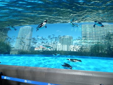 サンシャイン水族館に投稿された画像（2025/2/24）
