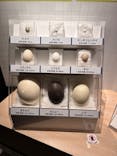 特別展「鳥 ～ゲノム解析が解き明かす新しい鳥類の系統～」国立科学博物館に投稿された画像（2025/2/24）