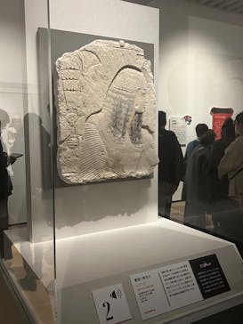 ブルックリン博物館所蔵 特別展 古代エジプトに投稿された画像（2025/2/24）