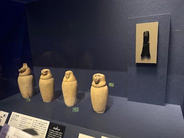 ブルックリン博物館所蔵 特別展 古代エジプトに投稿された画像（2025/2/24）