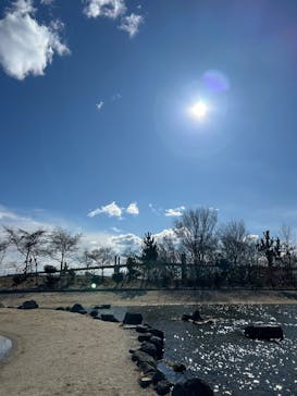 環境水族館アクアマリンふくしまに投稿された画像（2025/2/24）