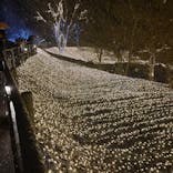 NESTA RESORT KOBE（ネスタリゾート神戸）に投稿された画像（2025/2/24）