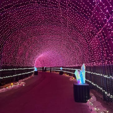 NESTA RESORT KOBE（ネスタリゾート神戸）に投稿された画像（2025/2/24）