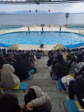 マリンワールド海の中道に投稿された画像（2025/2/24）