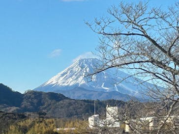 ニュー八景園に投稿された画像（2025/2/24）