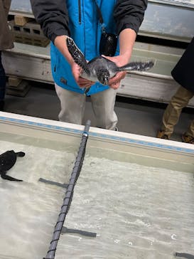 南知多ビーチランド＆南知多おもちゃ王国に投稿された画像（2025/2/24）