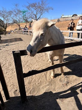 マザー牧場に投稿された画像（2025/2/24）