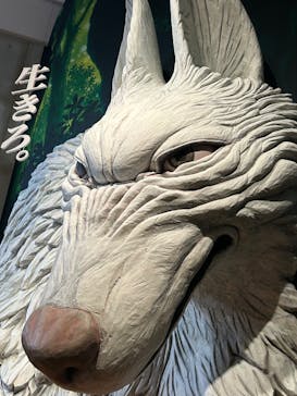金曜ロードショーとジブリ展　三重展に投稿された画像（2025/2/24）