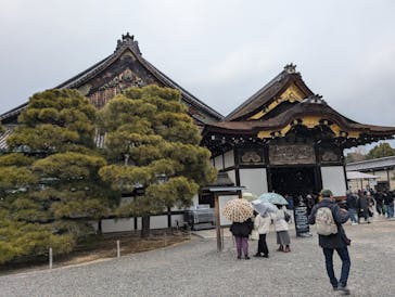 元離宮二条城に投稿された画像（2025/2/24）