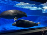 サンシャイン水族館に投稿された画像（2025/2/25）