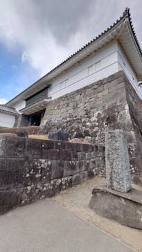 小田原城に投稿された画像（2025/2/24）