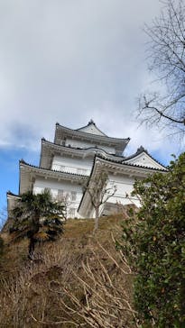 小田原城に投稿された画像（2025/2/24）