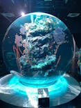 神戸みなと温泉 蓮×AQUARIUM × ART　atoaに投稿された画像（2025/2/25）