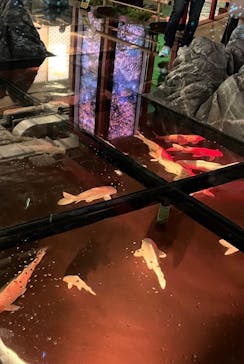 神戸みなと温泉 蓮×AQUARIUM × ART　atoaに投稿された画像（2025/2/24）
