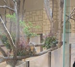 名古屋市東山動植物園に投稿された画像（2025/2/25）