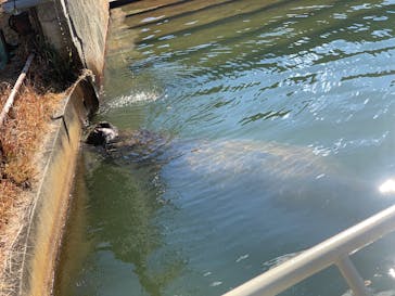 名古屋市東山動植物園に投稿された画像（2025/2/24）