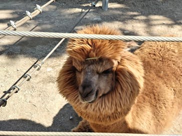 神戸どうぶつ王国に投稿された画像（2025/2/24）