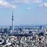 サンシャイン60展望台に投稿された画像（2025/2/25）