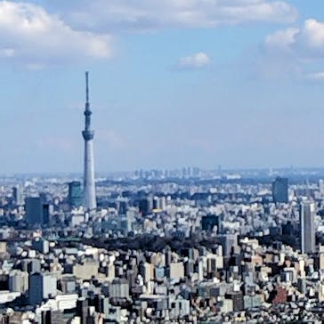 サンシャイン60展望台に投稿された画像（2025/2/24）