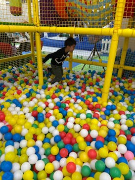 キッズランドUS 和歌山店に投稿された画像（2025/2/24）