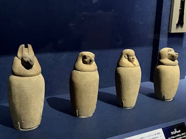 ブルックリン博物館所蔵 特別展 古代エジプトに投稿された画像（2025/2/24）