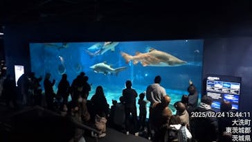 アクアワールド茨城県大洗水族館に投稿された画像（2025/2/25）