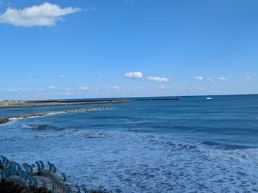 アクアワールド茨城県大洗水族館に投稿された画像（2025/2/25）