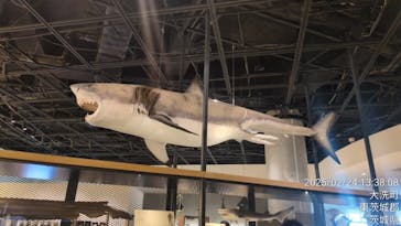 アクアワールド茨城県大洗水族館に投稿された画像（2025/2/25）