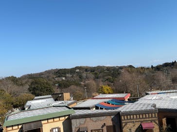 ニジゲンノモリに投稿された画像（2025/2/25）