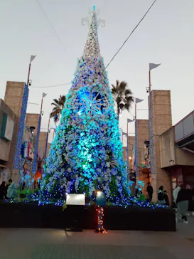 ひらかたパークに投稿された画像（2025/2/25）