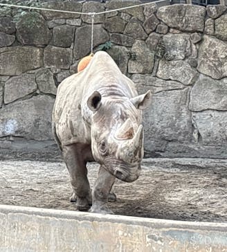 恩賜上野動物園に投稿された画像（2025/2/25）