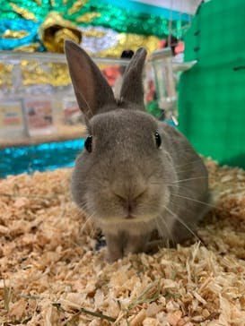 いきもの探検隊湘南に投稿された画像（2025/2/25）