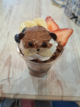 横浜・八景島シーパラダイスに投稿された画像（2025/2/25）