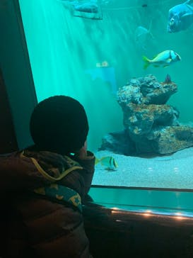 葛西臨海水族園に投稿された画像（2025/2/25）