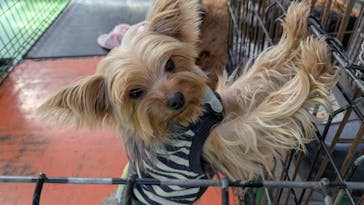 つくばわんわんランドに投稿された画像（2025/2/25）