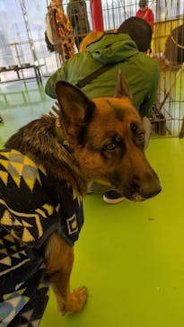 つくばわんわんランドに投稿された画像（2025/2/25）