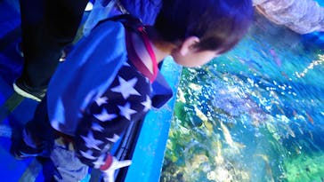 しながわ水族館に投稿された画像（2025/2/25）