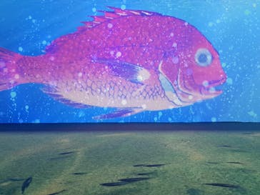 動き出す浮世絵展 TOKYOに投稿された画像（2025/2/25）