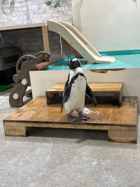 アニタッチ 東京ドームシティに投稿された画像（2025/2/25）