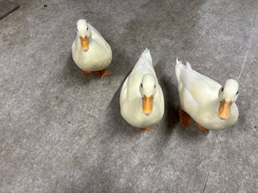 アニタッチ 東京ドームシティに投稿された画像（2025/2/25）