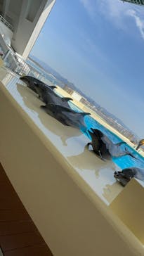 マリンワールド海の中道に投稿された画像（2025/2/25）