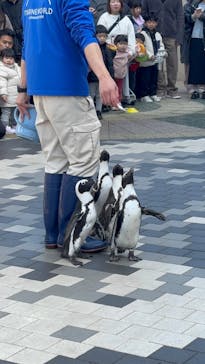 マリンワールド海の中道に投稿された画像（2025/2/25）