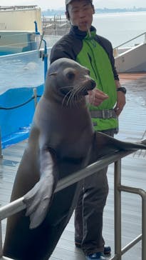 マリンワールド海の中道に投稿された画像（2025/2/25）